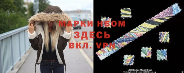 стаф Алзамай