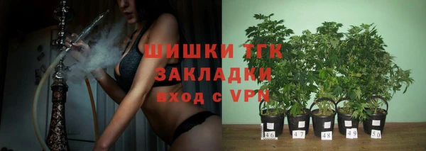 гидра Алексеевка