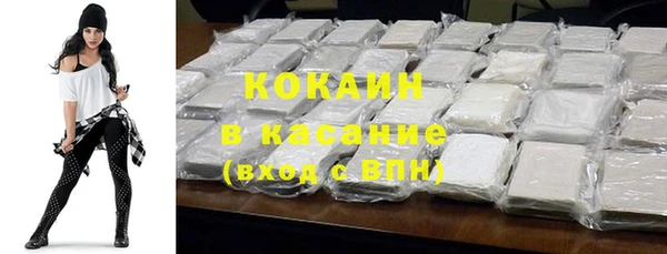 стаф Алзамай