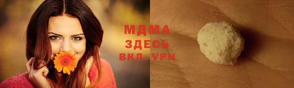 стаф Алзамай