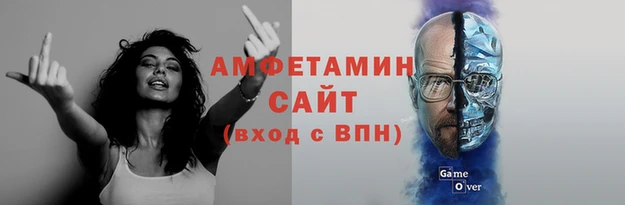 стаф Алзамай