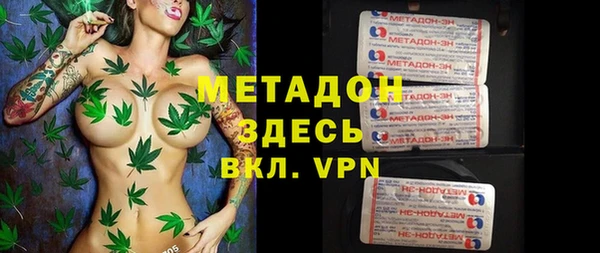 стаф Алзамай