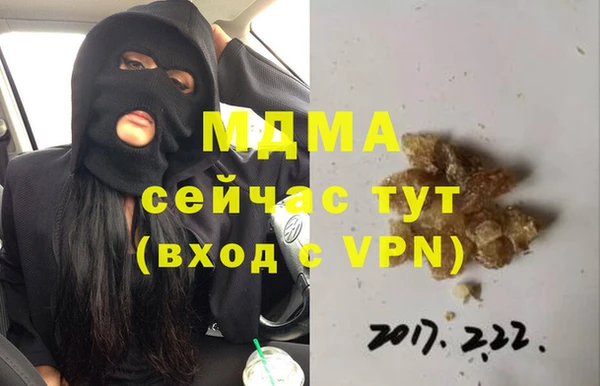 стаф Алзамай