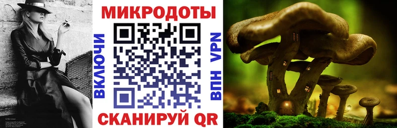 купить наркотики сайты  Киржач  Псилоцибиновые грибы GOLDEN TEACHER 