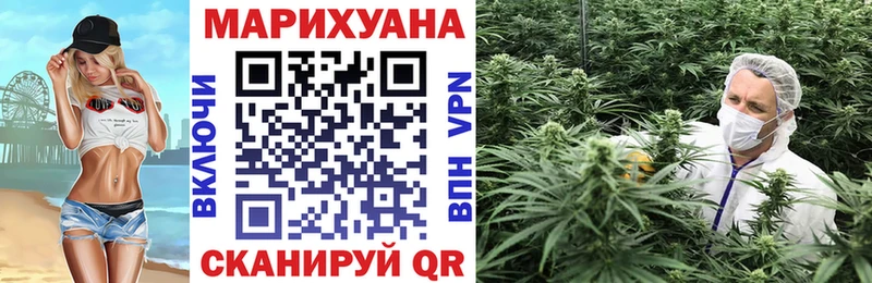 Конопля OG Kush Киржач